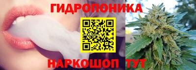 прущие грибы Партизанск